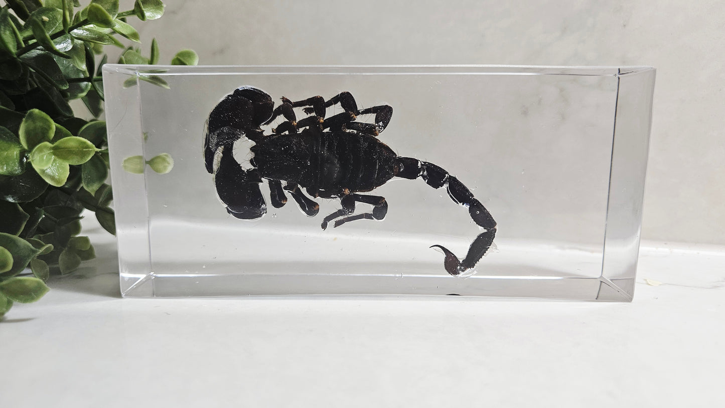 Resin Flower Preservation Rectangle Block – Wedding & Memorial Keepsake UK