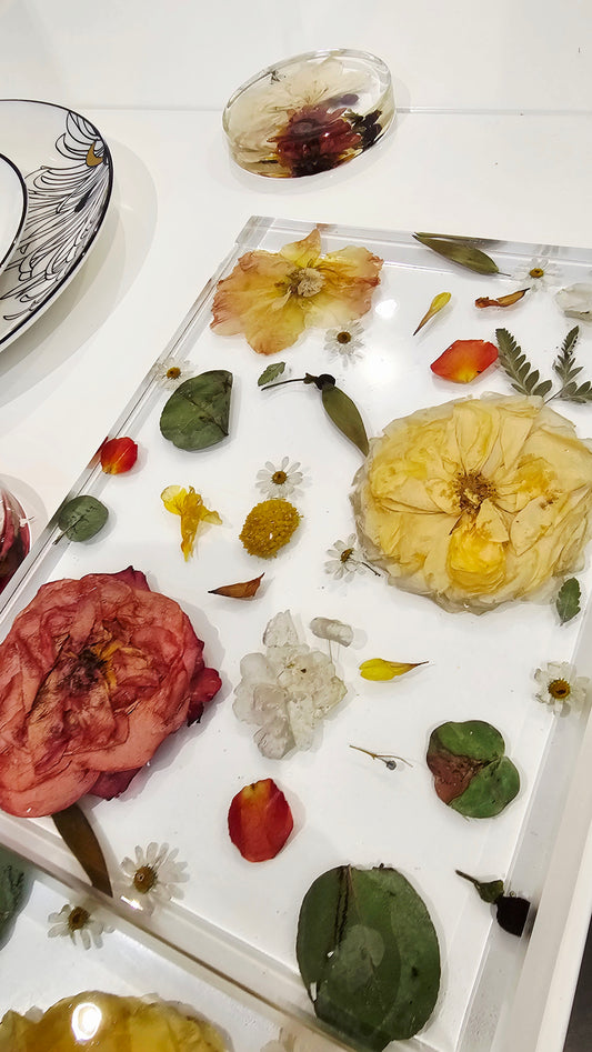 Pressed flowers and leaves on a transparent sheet with a white background