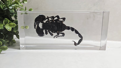 Resin Flower Preservation Rectangle Block – Wedding & Memorial Keepsake UK