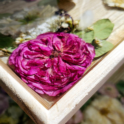 Close-up of a pressed pink rose in a decorative frame with floral background