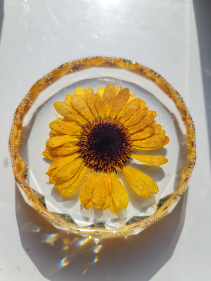 Yellow flower encased in clear resin on a white background