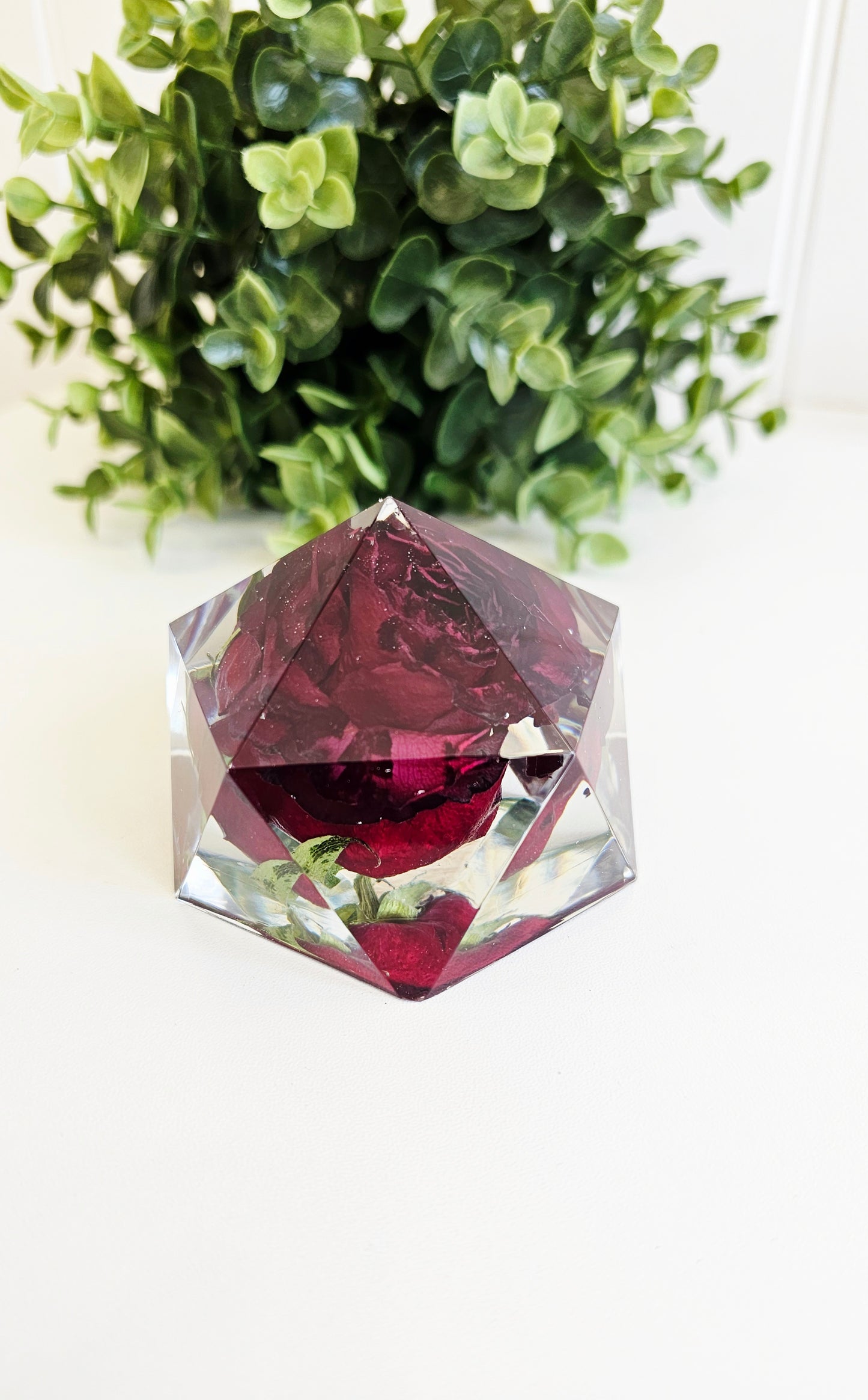 Fragile resin geometric paperweight with red rose inside, placed on a white surface with green plants in the background.