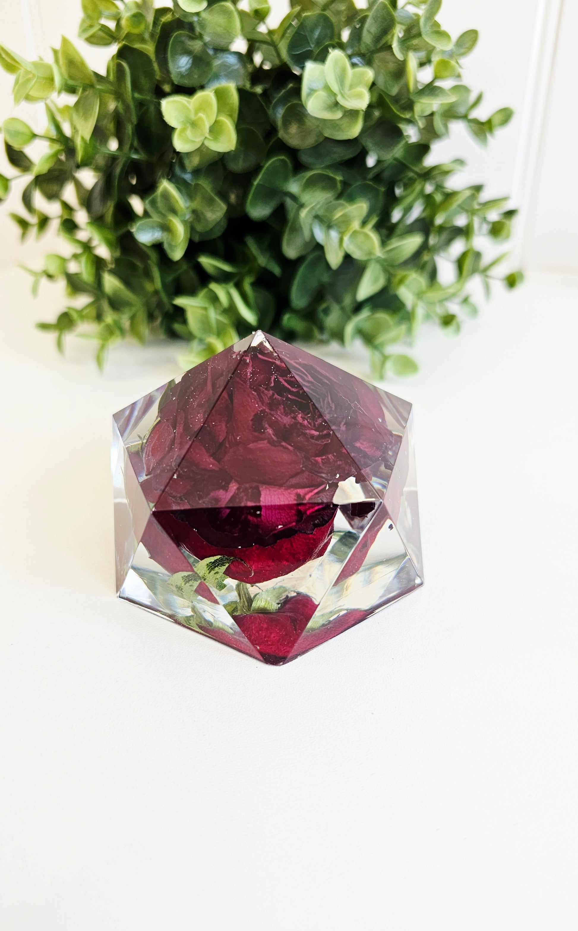 Fragile resin geometric paperweight with red rose inside, placed on a white surface with green plants in the background.