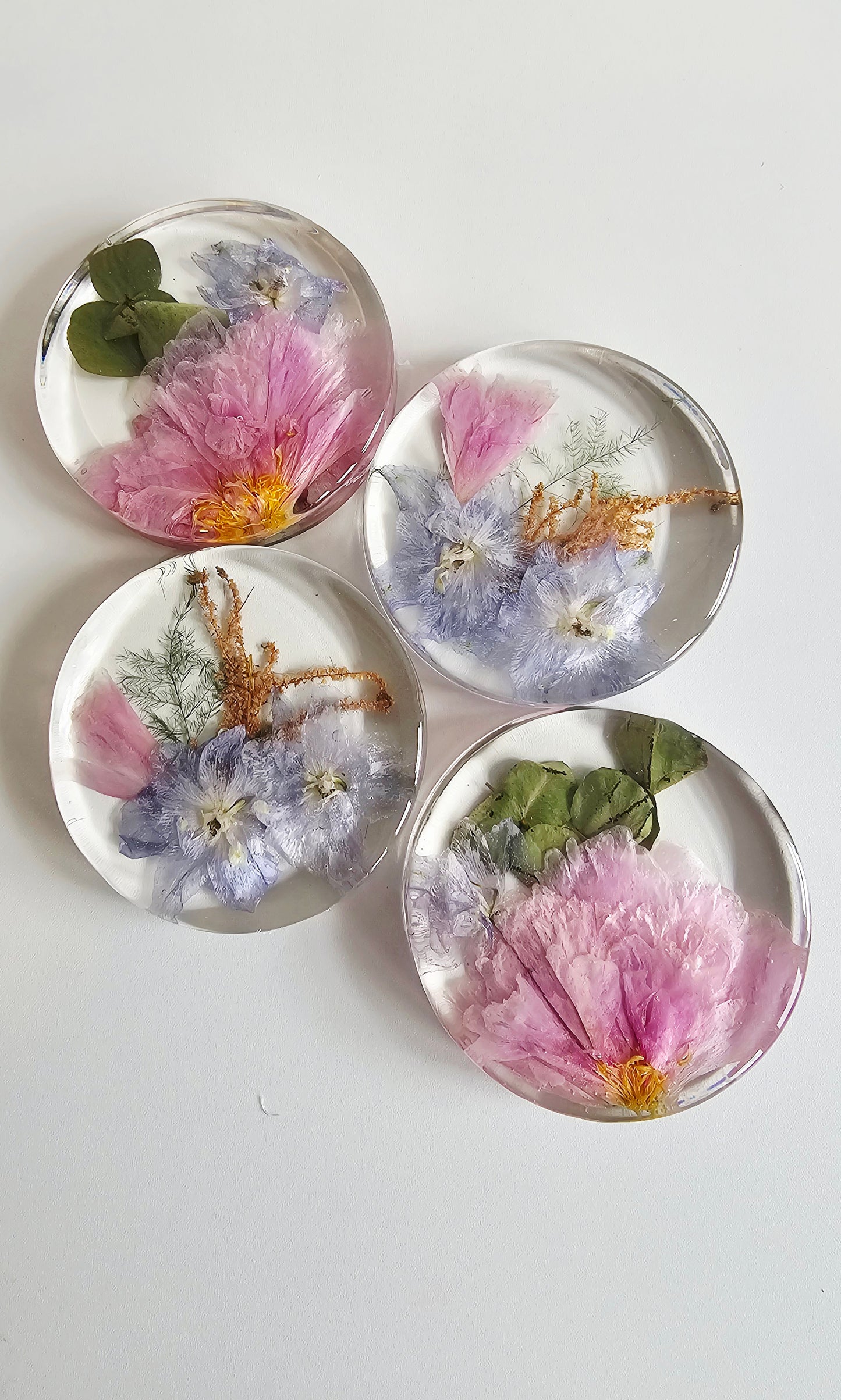 Set of four round pressed flower coasters on a white background