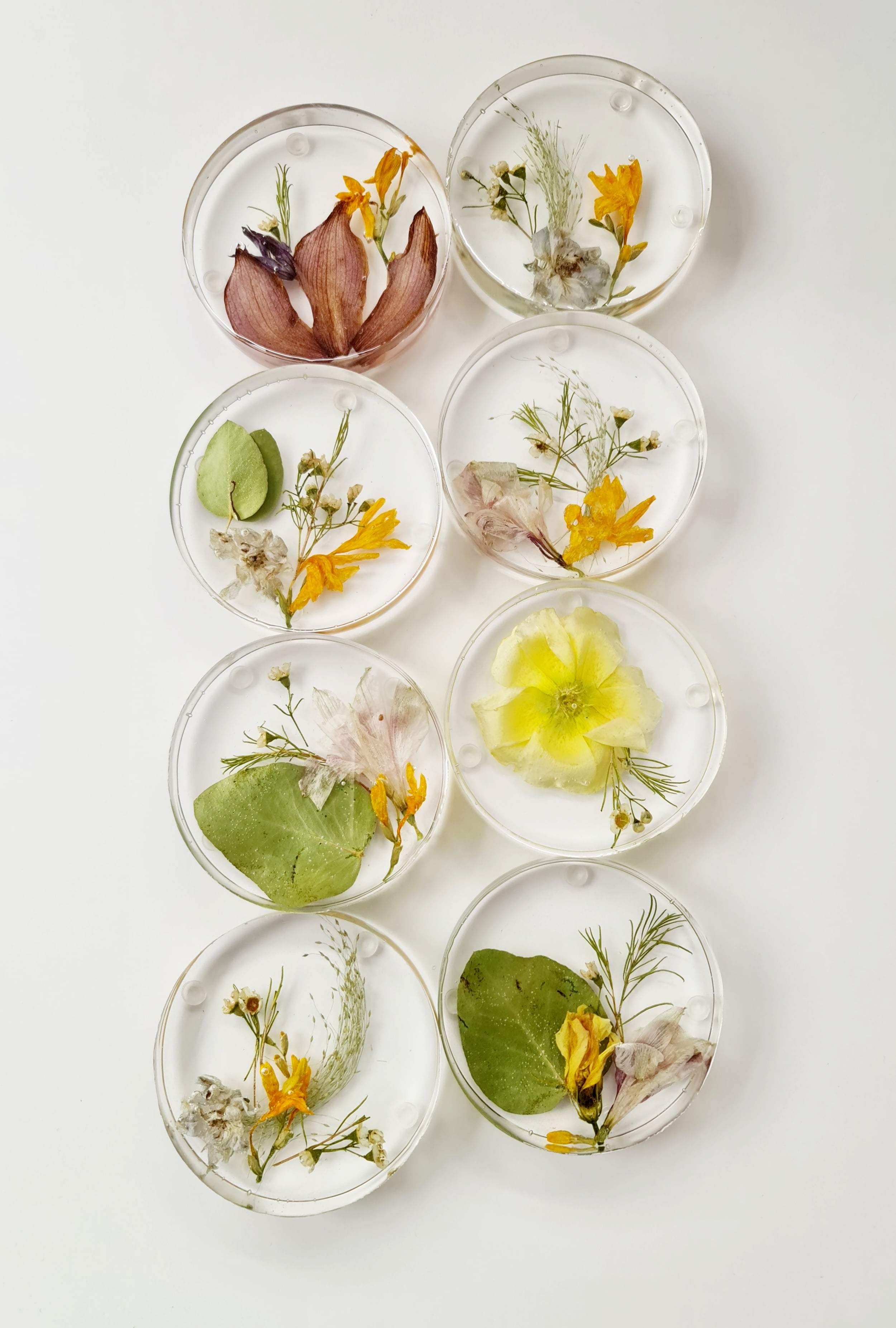 Flower Resin Coasters